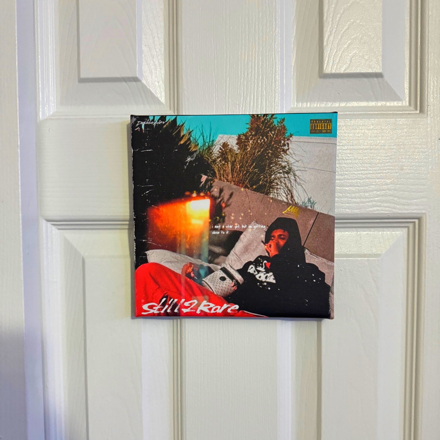 Dashboydev (Still2Rare) Canvass Art